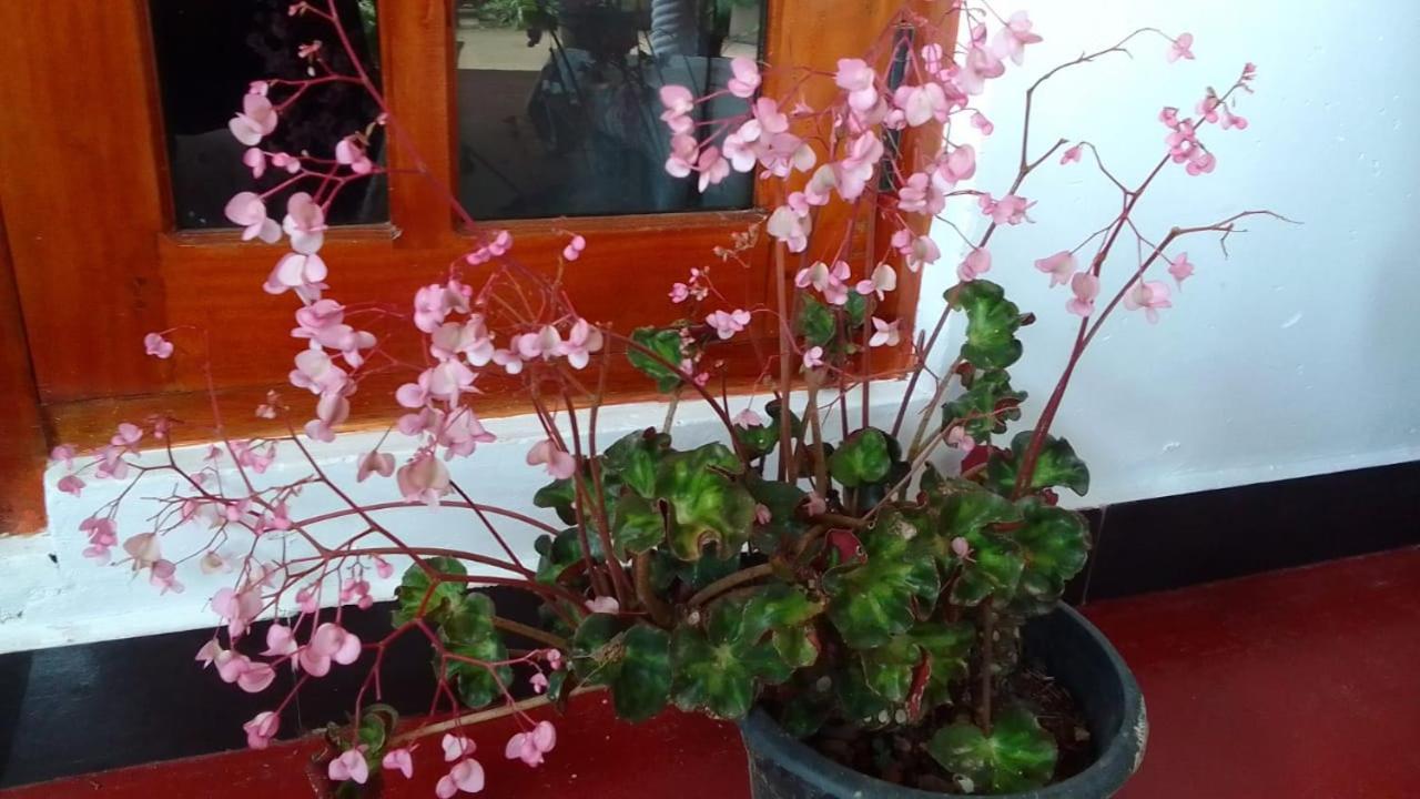 Secret Nest Homestay Ella Bagian luar foto