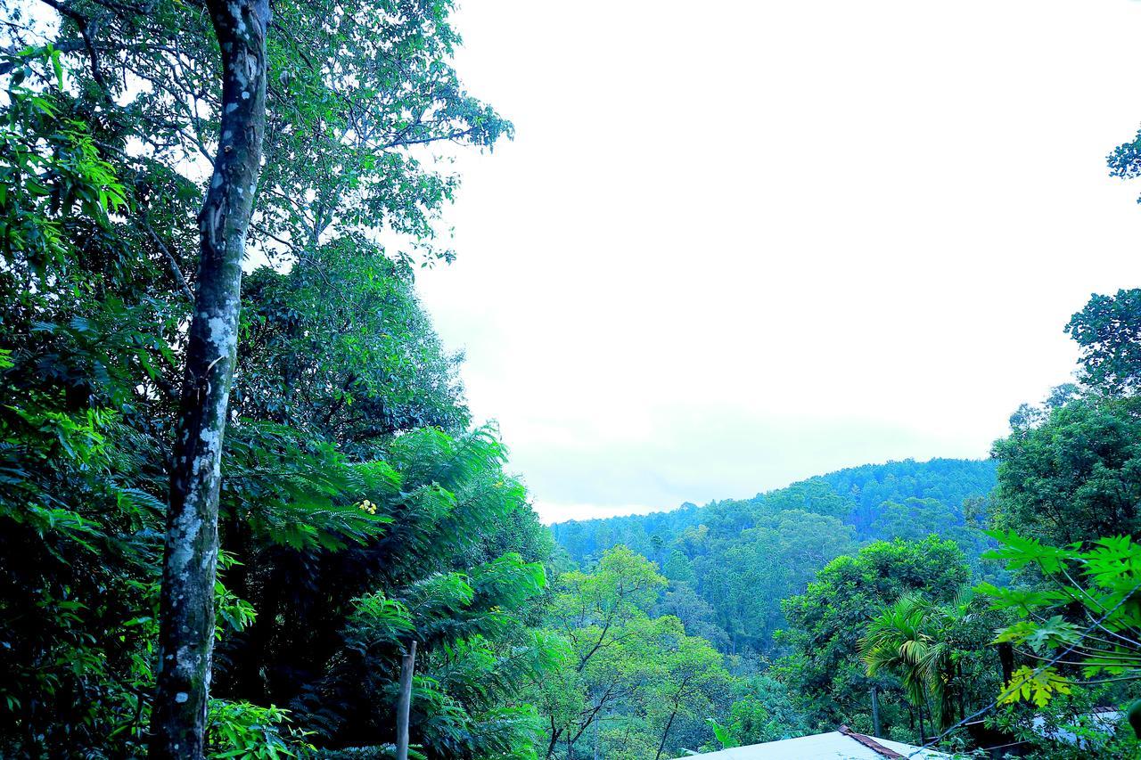 Secret Nest Homestay Ella Bagian luar foto