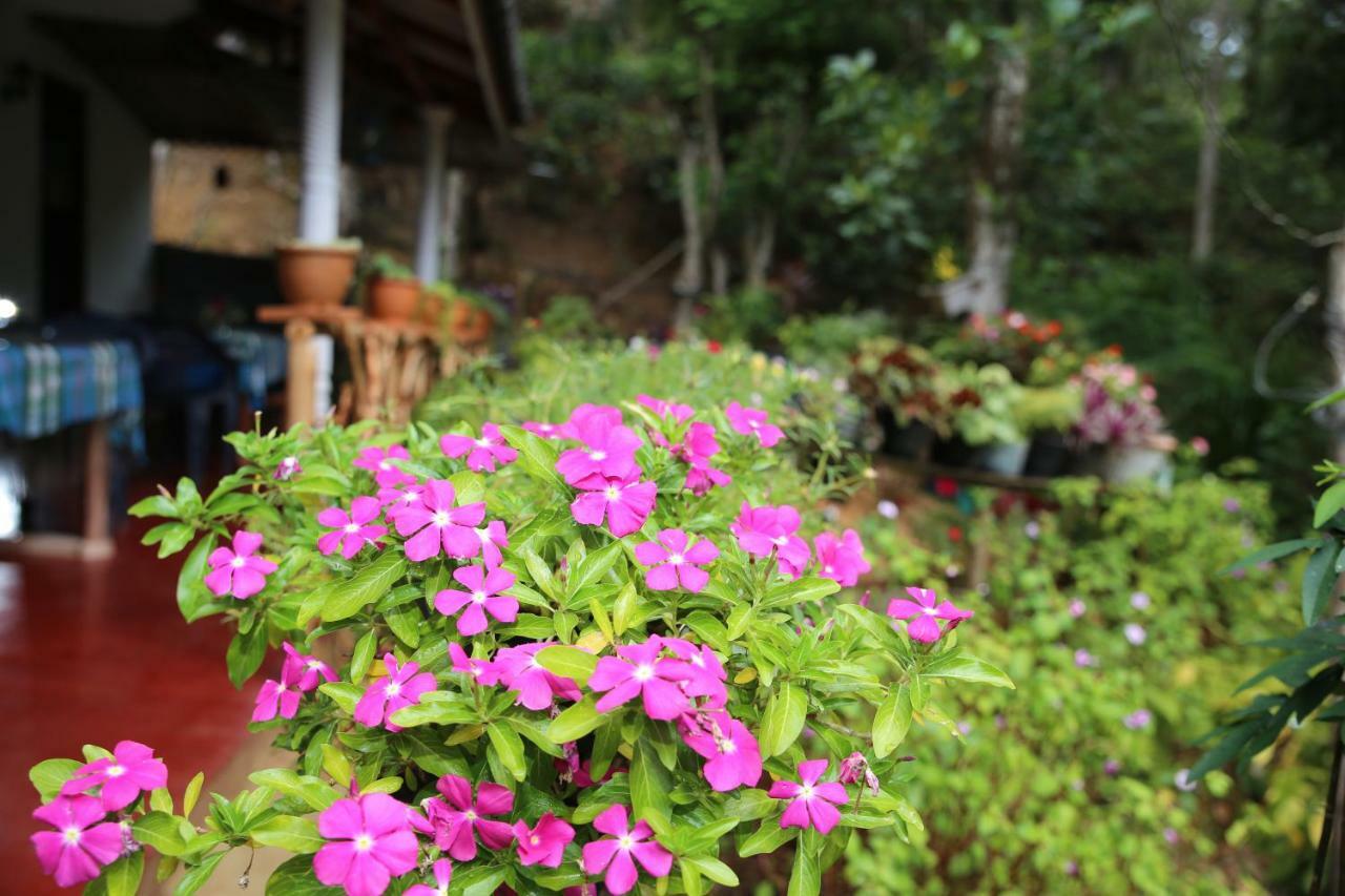Secret Nest Homestay Ella Bagian luar foto