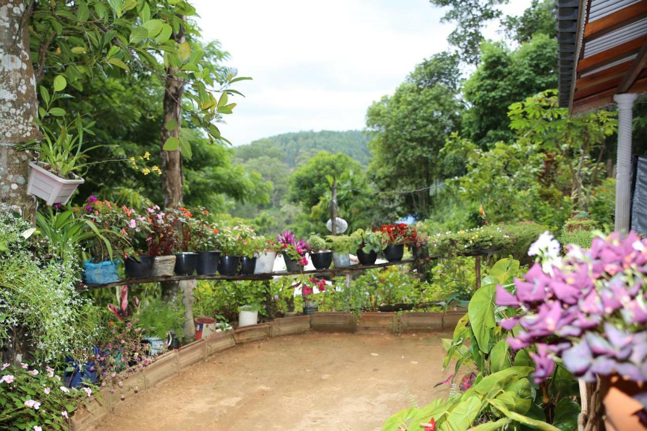 Secret Nest Homestay Ella Bagian luar foto
